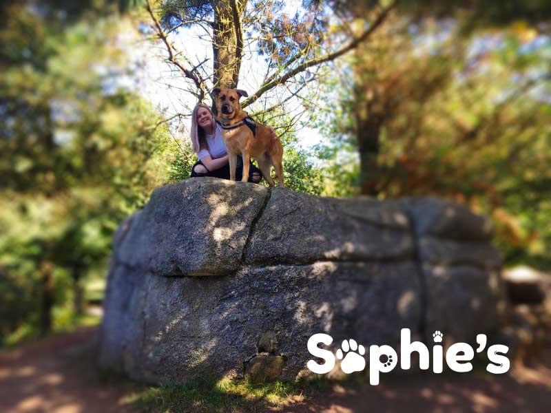 Sophie and milo on a rock